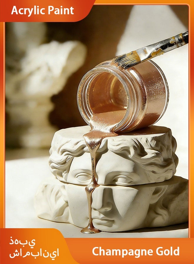 Acrylic Paint 10.14 oz Acrylic Paint, Champagne Gold, Includes ,Metallic and Pearlescent Colors. Portable Paint Refill Pack. - Image 1